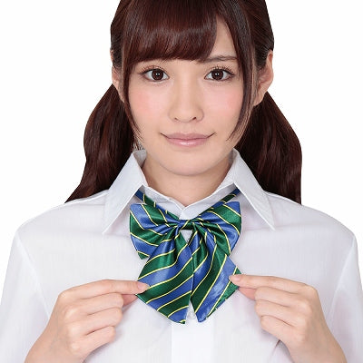 Cute School Ribbon Blue & Green Stripe