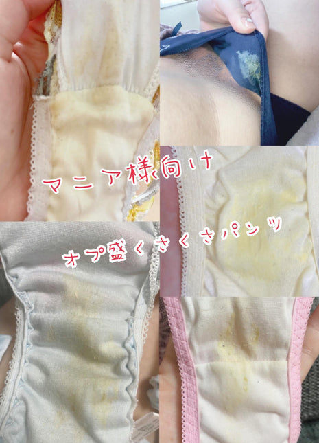 [Premium Used] For enthusiasts, special bargain stuffed panties