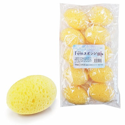 Artificial Sponge Fem Sponge (10 Pieces)