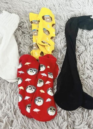 [Premium Used] February limited event. Worn for 3 days. Special socks.