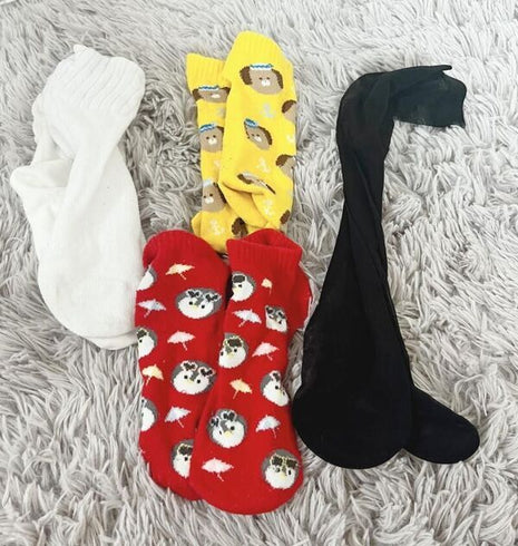 [Premium Used] February limited event. Worn for 3 days. Special socks.