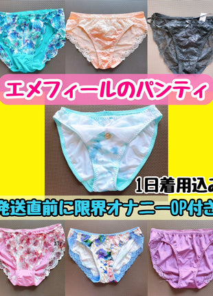 [Premium Used] The most popular choice among middle and high school students. Full-back panties.