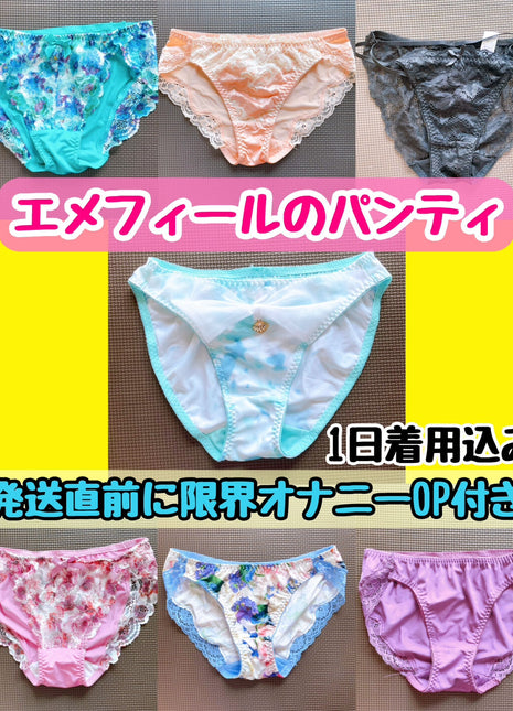 [Premium Used] The most popular choice among middle and high school students. Full-back panties.